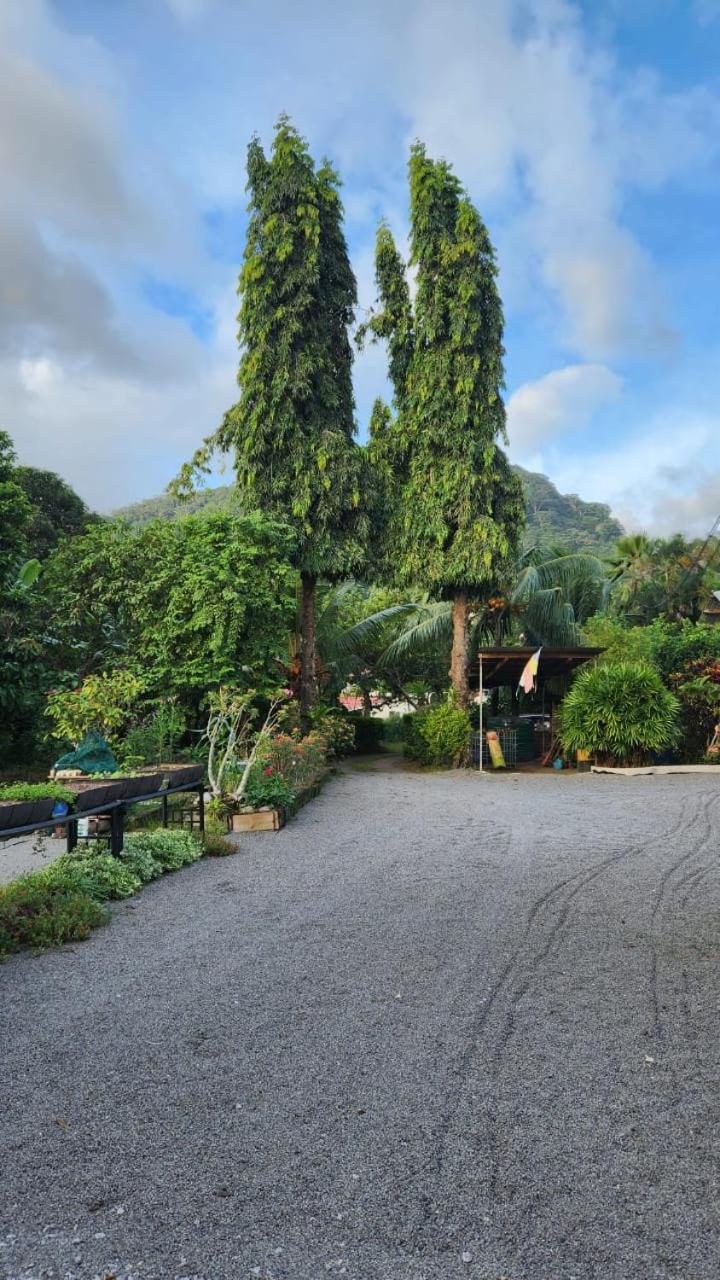 Green Self-Catering Apartment Vịnh Beau Vallon Ngoại thất bức ảnh